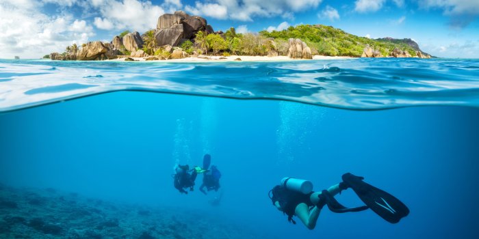 9000x6205 Person diving underwater, landscape, scuba, underwater, coral HD