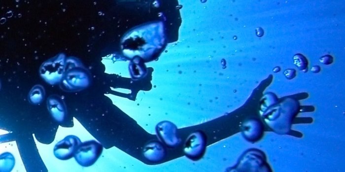 1080x1920 Scuba Diving Wallpaper for iPhone 11, Pro Max, X, 8, 7, 6 - Free