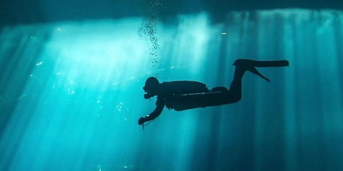 950x1689 Scuba Diving Wallpaper Phone - 950x1689 Wallpaper - Ecopetit.cat