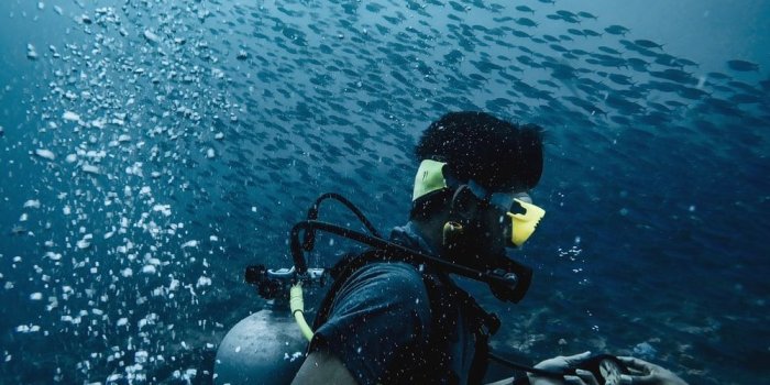 1000x800 500+ Scuba Diving Pictures [HD] | Download Free Images on Unsplash