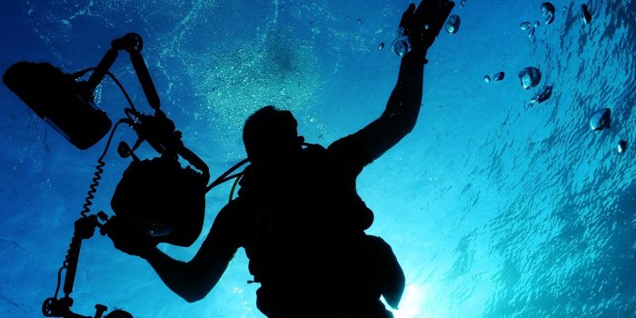 1440x2560 Scuba diver in Ocean 4K Wallpapers | HD Wallpapers | ID #25800