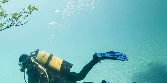 1242x2208 Underwater Scuba Diving HD wallpaper download