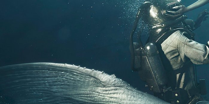 1080x1920 Diver and the Mermaid HD Wallpaper | HD Wallpapers Download