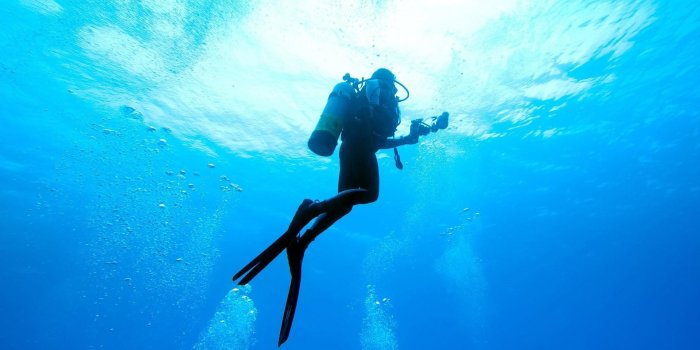 1920x1080 54+ Scuba Diving Wallpapers on WallpaperPlay