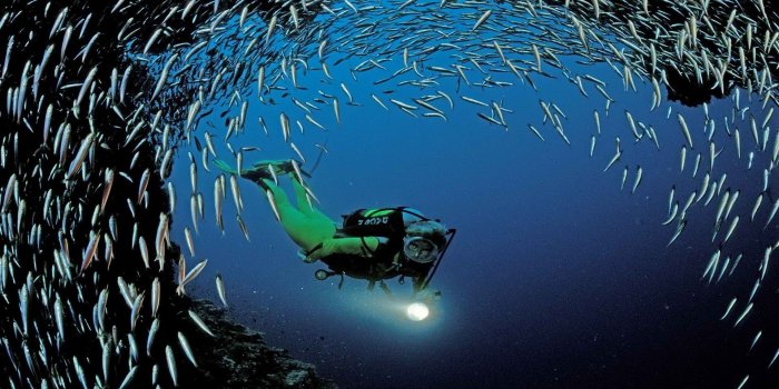 1920x1080 49+ Scuba Diving Wallpaper High Resolution