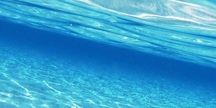 1080x1920 md84-sea-dive-water - Papers.co