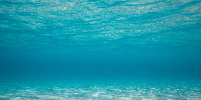 1920x1080 49+ Scuba Diving Wallpaper High Resolution