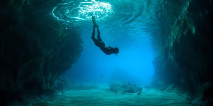 1920x1080 Best 38+ Dive Wallpaper on HipWallpaper | Skydive Wallpaper, Duck