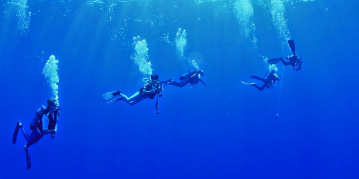 1600x1136 Scuba Diving Wallpaper | Dive Tenerife