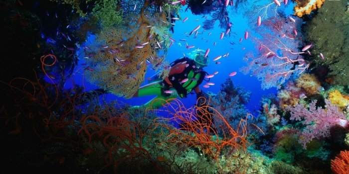 1920x1080 Scuba Diving Wallpaper High Resolution (51+ images)