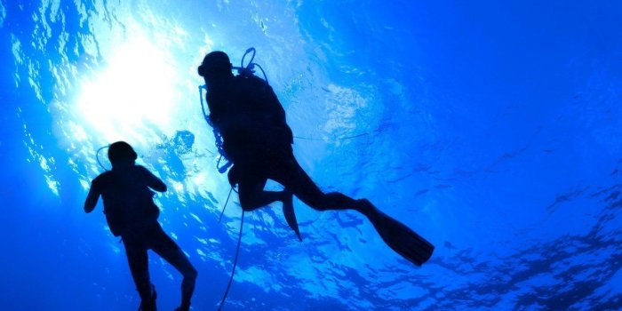 1280x1024 Scuba Diving Diver Ocean Sea Underwater Wallpapers Desktop Background