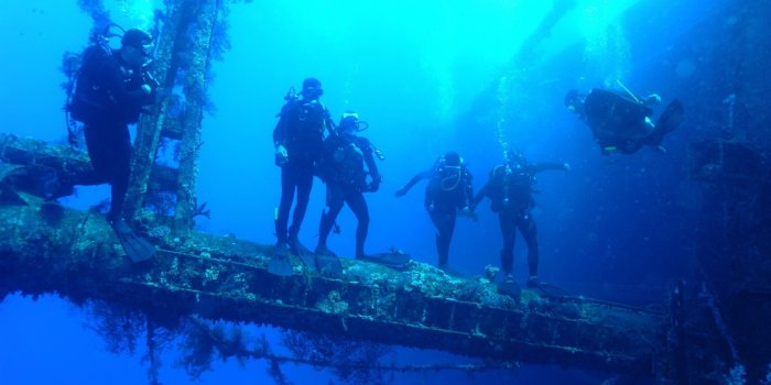 1920x1200 54+ Scuba Diving Wallpapers on WallpaperPlay