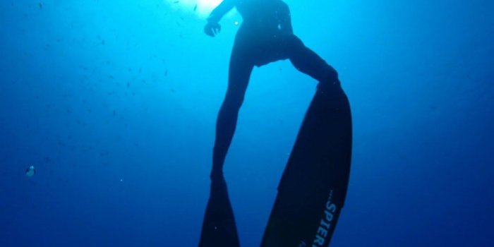 1200x1600 Ipad Wallpapers Source - Iphone Freediving (#1057993) - HD