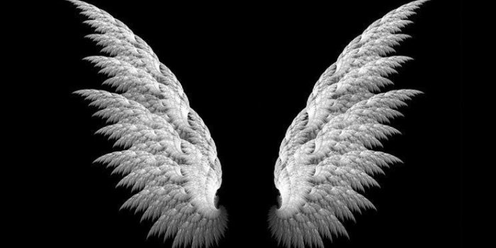 744x1392 Stunning 50 Black Wallpapers for Desktop | Melek kanatları