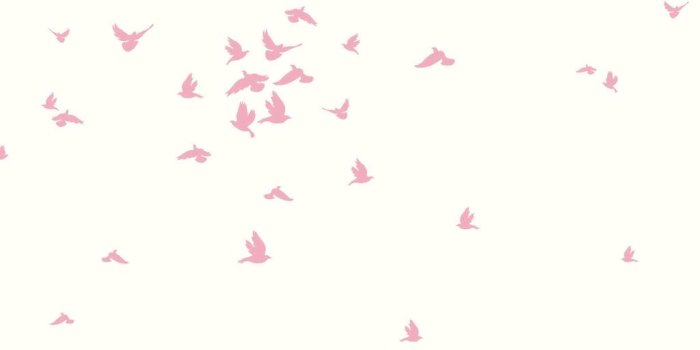 1024x1024 DW2333 DwellStudio Baby & Kids Fable Bird Wallpaper - Pink/White