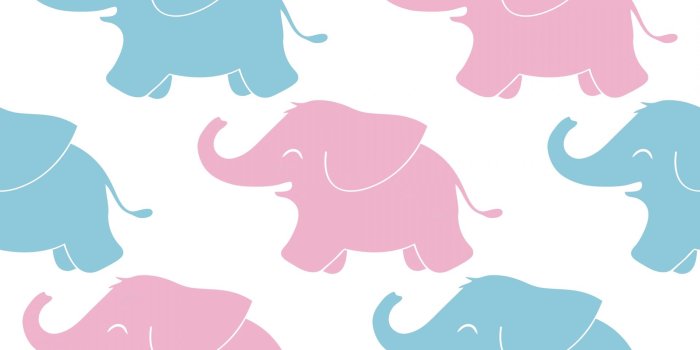 1920x1920 Elephant,baby,pink,blue,white - free image from needpix.com