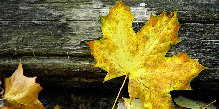 1920x1200 Wallpapers - Windows Help