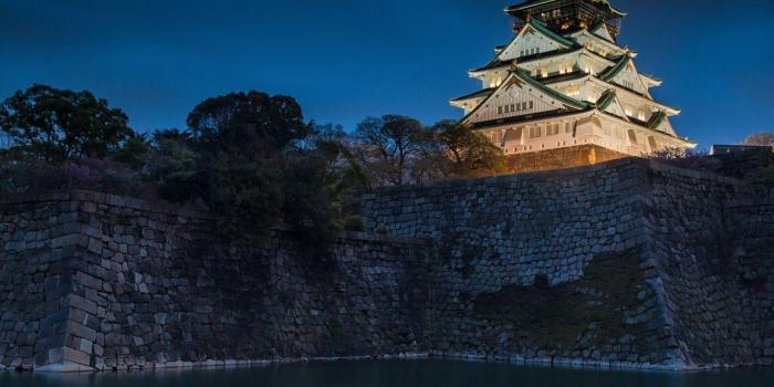 1332x850 Wallpaper water, night, castle, Japan, Japan, Osaka, Osaka, ditch