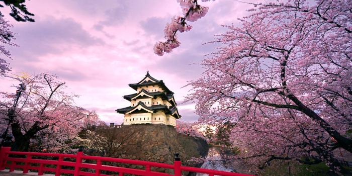 1920x1200 Japanese Castle Wallpapers - Top Free Japanese Castle Backgrounds