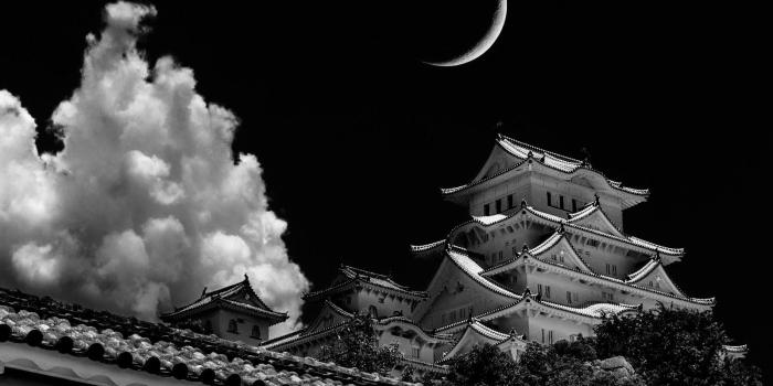 1600x1067 4912x3256] took a photo of a Japanese castle, thought it would be