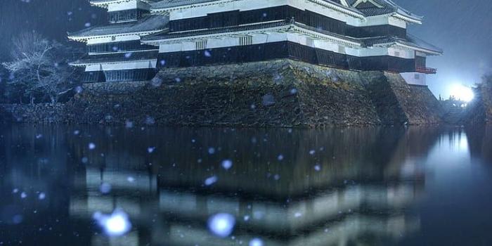 728x1091 HD wallpaper: winter, Japan, Matsumoto, castle, water | Wallpaper