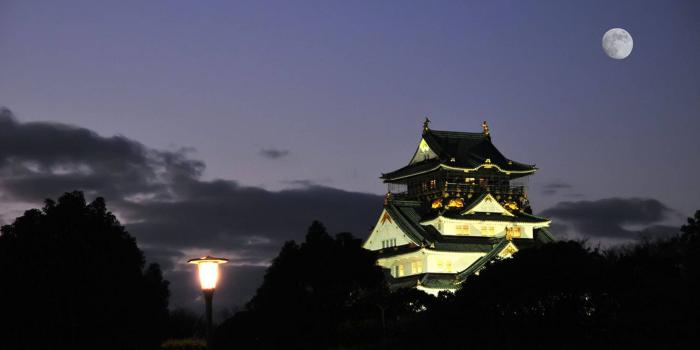 1920x1200 Free download Osaka city at night light wallpaper jpg 294121