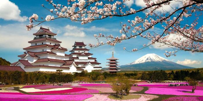 1920x1200 Japanese Castle Wallpapers - Top Free Japanese Castle Backgrounds