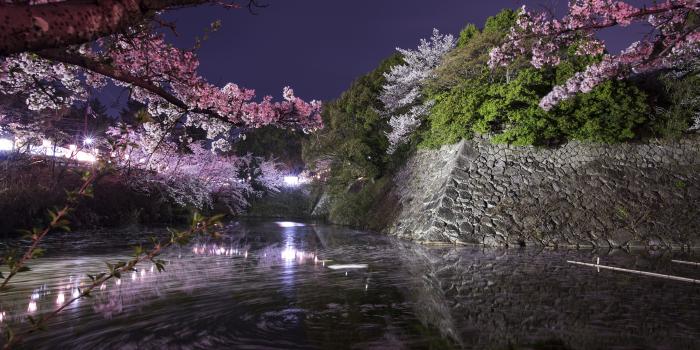 5616x3744 Image Japan Koriyama Castle Park Nature Pond Parks 5616x3744