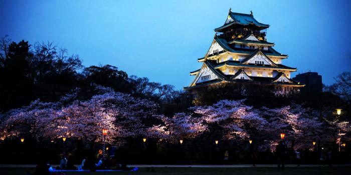 1800x971 Osaka Wallpapers