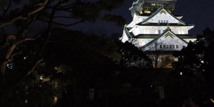 2048x1536 Osaka castle at night. One of my favorite moments in Japan