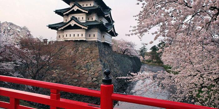 1024x768 The Top 10 Most Beautiful Castles In Japan