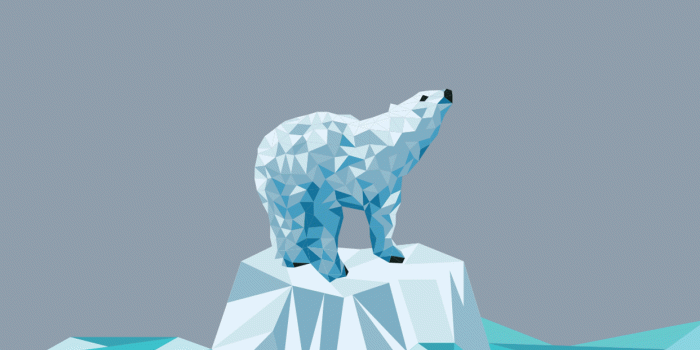 1242x2208 Minimalist Polar Bear Wallpapers