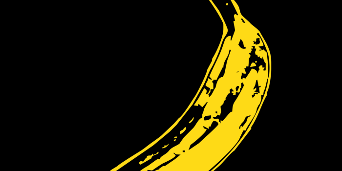 1440x2560 iphone# #phone# #life# #design# #wallpaper# #color# #iOS# #duck