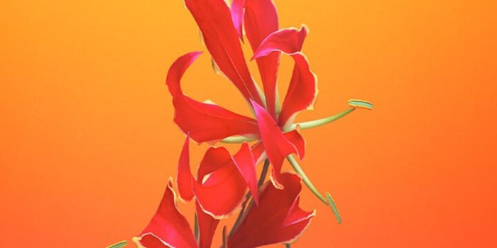 1080x1920 Girly Wallpaper for Android - APK Download