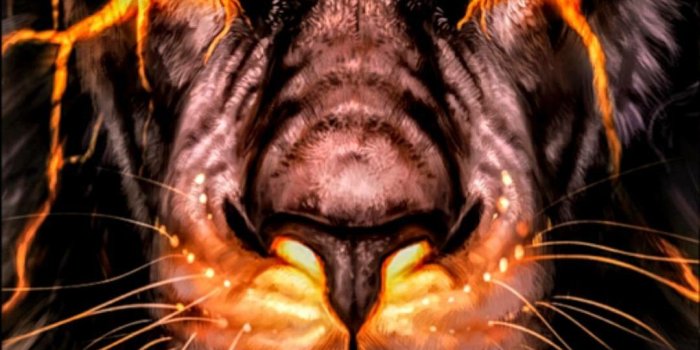 1080x1920 Tekenen | Lion wallpaper, Lion pictures, Lion art