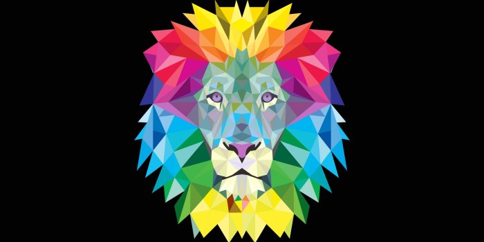 2560x1440 68+ Colorful Lion Wallpapers on WallpaperPlay