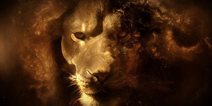 1920x1200 Lion Art Desktop Wallpaper #6974883