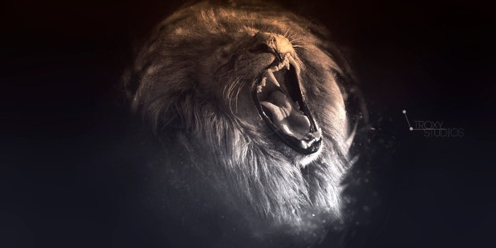 1920x1080 Lion art wallpaper - SF Wallpaper