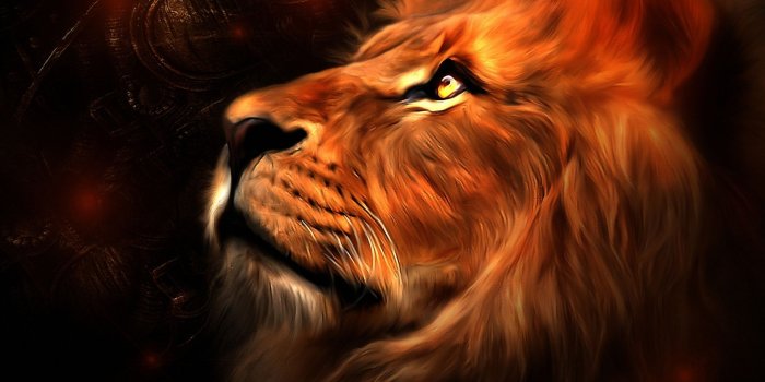 1920x1080 Lion Art Wallpaper 20216 - Baltana