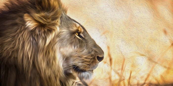 2048x1152 2048x1152 Lion Art 2048x1152 Resolution HD 4k Wallpapers, Images