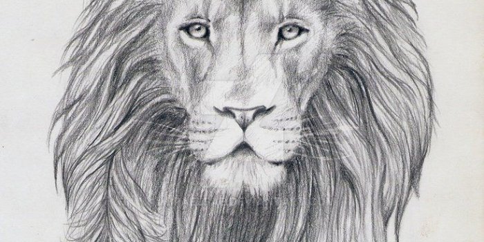 734x1089 Crown Lion Art Wallpaper iPhone | 2020 3D iPhone Wallpaper
