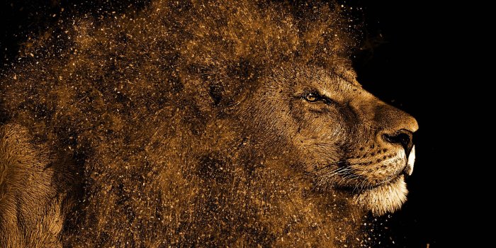 3840x2160 Lion Art 4K Wallpapers | HD Wallpapers