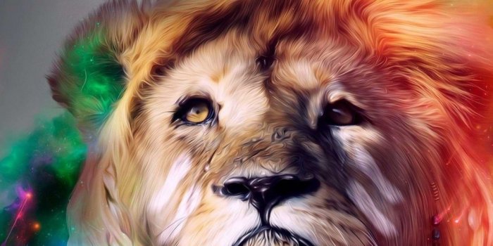 1536x2048 Download 1536x2048 Lion, Artistic, Design, Colorful, Digital Art