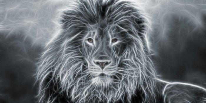 1920x1058 Lion Animal Wallpaper - Lion Art - 1920x1058 Wallpaper - Ecopetit.cat