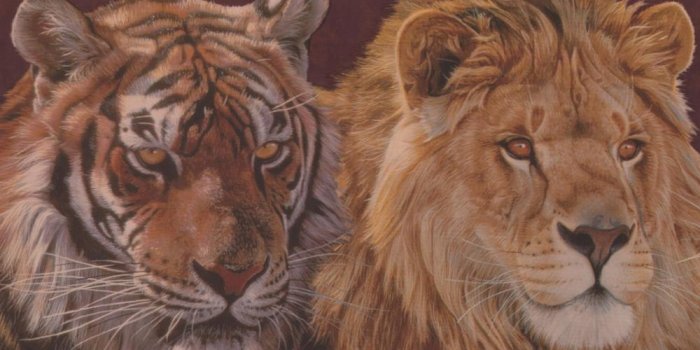 1000x1000 Retro Art Tiger Lion Jaguar Wine Red Animals Prepasted Wallpaper