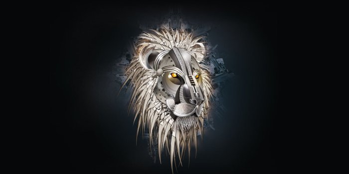 1920x1080 Cool Lion Wallpaper #6993578 - Clip Art Library