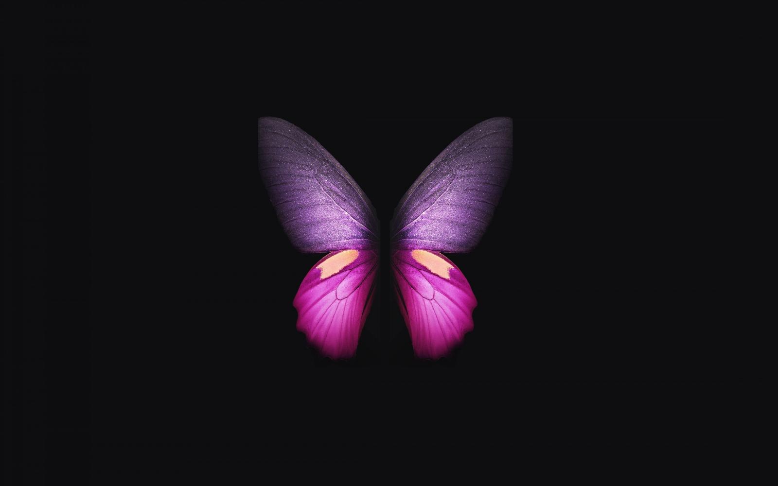 3840x2400 Samsung Galaxy Fold Photo, Beautiful Samsung Galaxy Fold Wallpaper