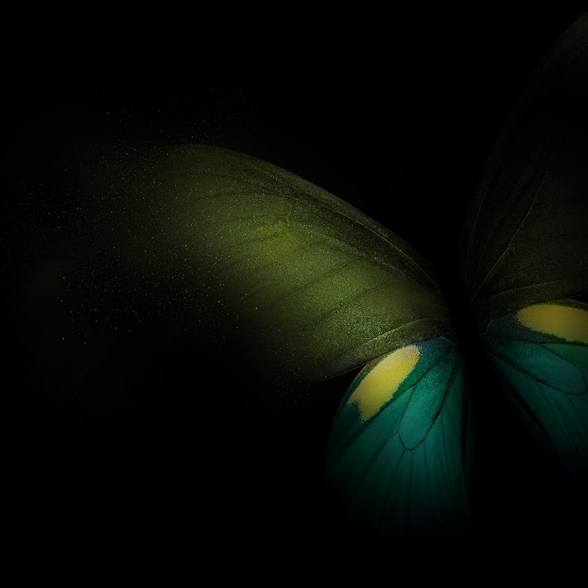 1200x1200 Customize your smartphone with the Samsung Galaxy Fold's wallpapers