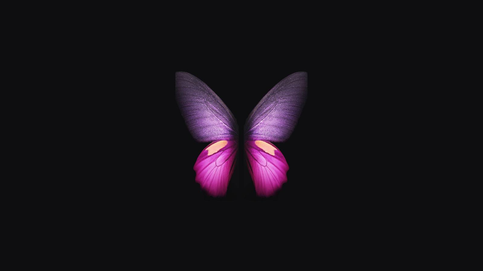 3840x2160 Samsung Galaxy Fold Butterfly, HD Artist, 4k Wallpapers, Images