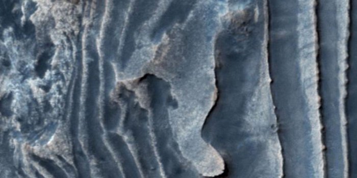 1440x2560 10 Things for Jan. 8: Images for Your Computer or Phone Wallpaper